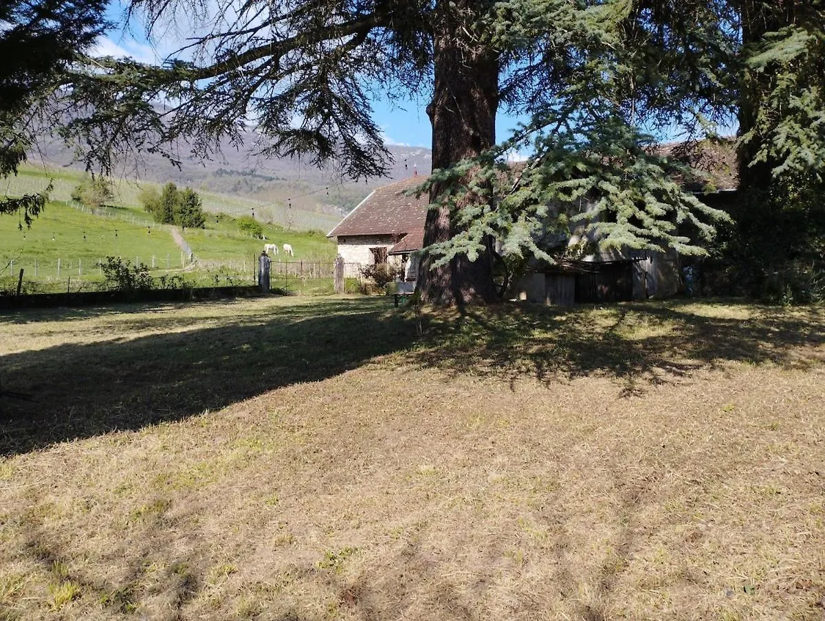 Charmante Maison De Famille Rustique A La Campagne Groslee 法国